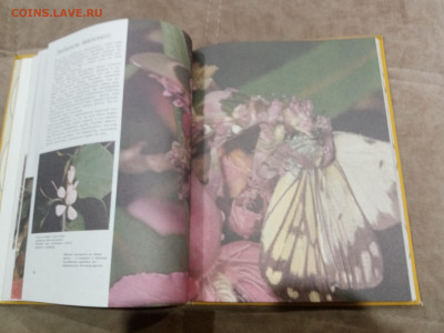 Способы защиты у животных до 26.02.26 в 22:00 по мск - IMG_20260220_232701