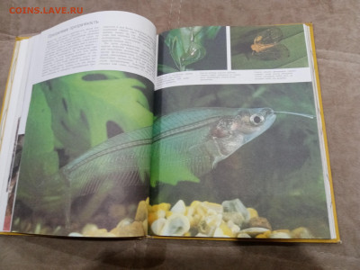 Способы защиты у животных до 26.02.26 в 22:00 по мск - IMG_20260220_232651