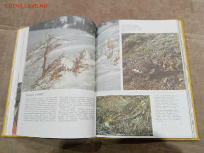 Способы защиты у животных до 26.02.26 в 22:00 по мск - IMG_20260220_232628