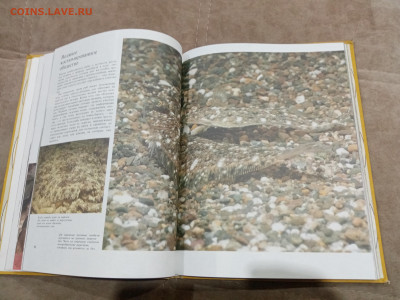 Способы защиты у животных до 26.02.26 в 22:00 по мск - IMG_20260220_232641