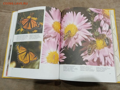 Способы защиты у животных до 26.02.26 в 22:00 по мск - IMG_20260220_232603