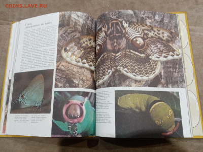 Способы защиты у животных до 26.02.26 в 22:00 по мск - IMG_20260220_232553