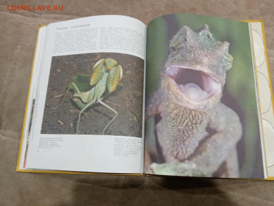 Способы защиты у животных до 26.02.26 в 22:00 по мск - IMG_20260220_232538