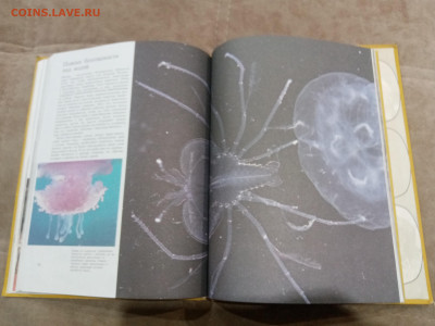 Способы защиты у животных до 26.02.26 в 22:00 по мск - IMG_20260220_232528