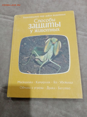 Способы защиты у животных до 26.02.26 в 22:00 по мск - IMG_20260220_232050
