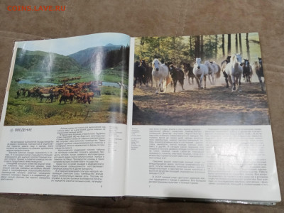 Коневодство в ссср очень красочная и информативно книга - IMG_20260220_234428