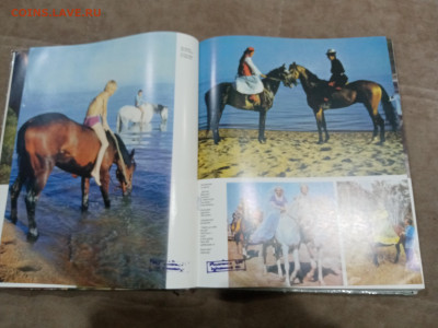 Коневодство в ссср очень красочная и информативно книга - IMG_20260220_234406