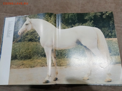 Коневодство в ссср очень красочная и информативно книга - IMG_20260220_234356
