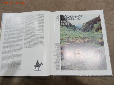 Коневодство в ссср очень красочная и информативно книга - IMG_20260220_234214