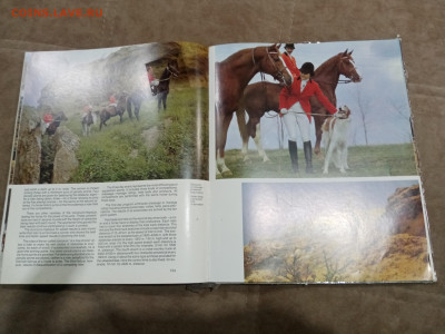 Коневодство в ссср очень красочная и информативно книга - IMG_20260220_234203