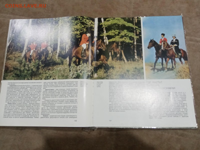 Коневодство в ссср очень красочная и информативно книга - IMG_20260220_234153