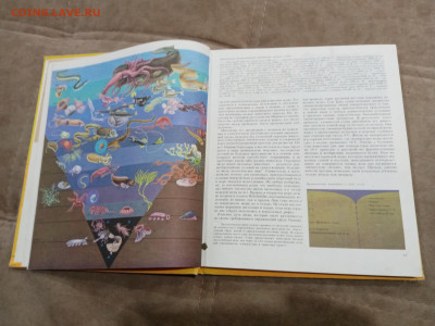 Животный мир земли до 26.02.26 в 22:00 по мск - IMG_20260221_000259