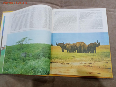 Животный мир земли до 26.02.26 в 22:00 по мск - IMG_20260221_000248