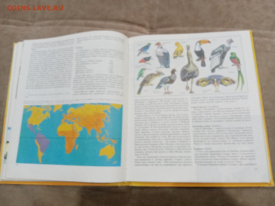 Животный мир земли до 26.02.26 в 22:00 по мск - IMG_20260221_000222