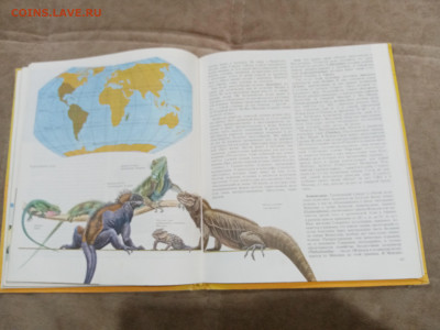 Животный мир земли до 26.02.26 в 22:00 по мск - IMG_20260221_000212