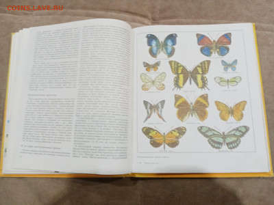 Животный мир земли до 26.02.26 в 22:00 по мск - IMG_20260221_000202