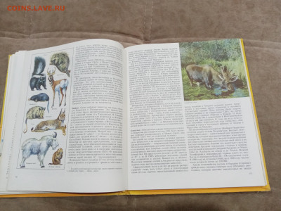 Животный мир земли до 26.02.26 в 22:00 по мск - IMG_20260221_000126