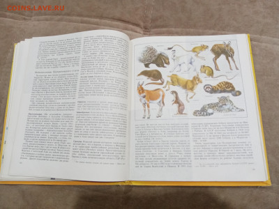 Животный мир земли до 26.02.26 в 22:00 по мск - IMG_20260221_000039