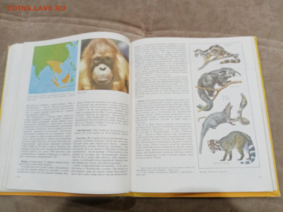 Животный мир земли до 26.02.26 в 22:00 по мск - IMG_20260221_000016