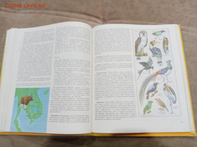 Животный мир земли до 26.02.26 в 22:00 по мск - IMG_20260221_000004