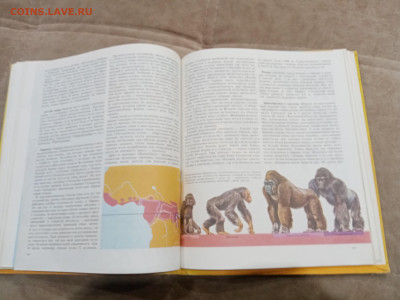 Животный мир земли до 26.02.26 в 22:00 по мск - IMG_20260220_235950