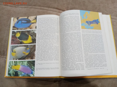 Животный мир земли до 26.02.26 в 22:00 по мск - IMG_20260220_235939