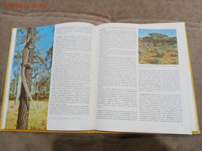 Животный мир земли до 26.02.26 в 22:00 по мск - IMG_20260220_235754