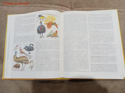 Животный мир земли до 26.02.26 в 22:00 по мск - IMG_20260220_235749