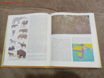 Животный мир земли до 26.02.26 в 22:00 по мск - IMG_20260220_235741