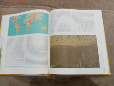 Животный мир земли до 26.02.26 в 22:00 по мск - IMG_20260220_235731