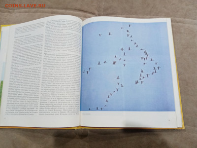 Животный мир земли до 26.02.26 в 22:00 по мск - IMG_20260220_235723