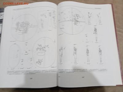 Проболгары на средней волге до 26.02.26 в 22:00 по мск - IMG_20260221_001854