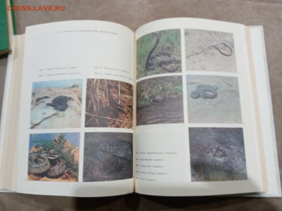 Энциклопедия здоровья в 3х томах до 26.02.26 в 22:00 по мск - IMG_20260221_013212