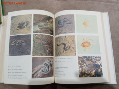 Энциклопедия здоровья в 3х томах до 26.02.26 в 22:00 по мск - IMG_20260221_013201