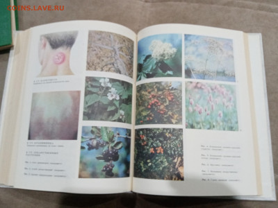 Энциклопедия здоровья в 3х томах до 26.02.26 в 22:00 по мск - IMG_20260221_013151