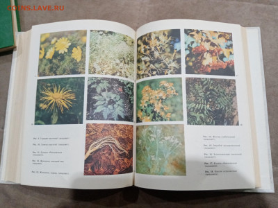 Энциклопедия здоровья в 3х томах до 26.02.26 в 22:00 по мск - IMG_20260221_013141