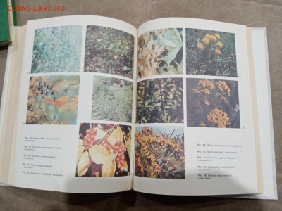 Энциклопедия здоровья в 3х томах до 26.02.26 в 22:00 по мск - IMG_20260221_013131