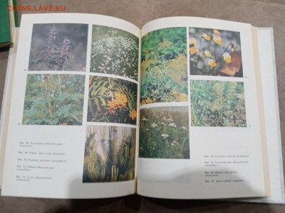 Энциклопедия здоровья в 3х томах до 26.02.26 в 22:00 по мск - IMG_20260221_013122