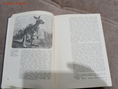 Мир животных до 26.02.26 в 22:00 по мск - IMG_20260221_015812