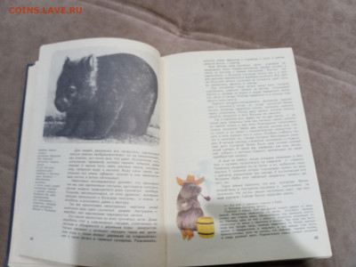 Мир животных до 26.02.26 в 22:00 по мск - IMG_20260221_015802