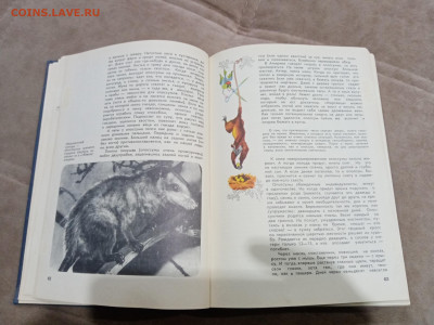 Мир животных до 26.02.26 в 22:00 по мск - IMG_20260221_015751