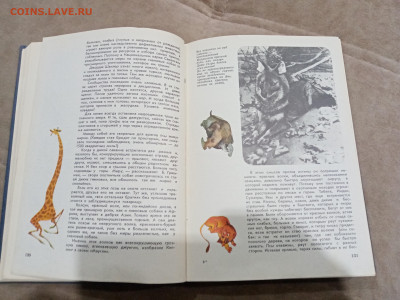 Мир животных до 26.02.26 в 22:00 по мск - IMG_20260221_015730