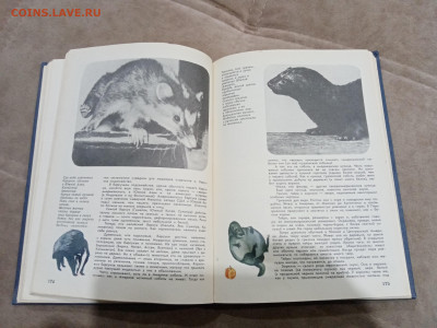 Мир животных до 26.02.26 в 22:00 по мск - IMG_20260221_015717