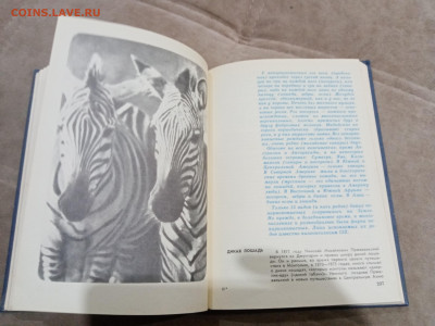 Мир животных до 26.02.26 в 22:00 по мск - IMG_20260221_015705