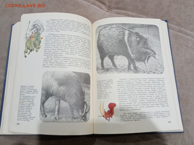 Мир животных до 26.02.26 в 22:00 по мск - IMG_20260221_015654