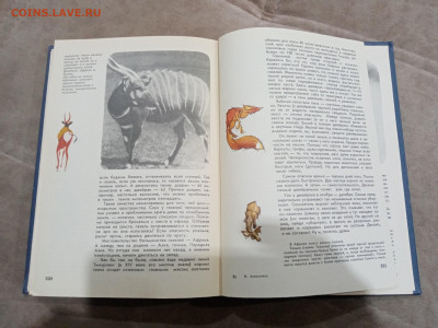 Мир животных до 26.02.26 в 22:00 по мск - IMG_20260221_015622