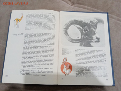 Мир животных до 26.02.26 в 22:00 по мск - IMG_20260221_015612