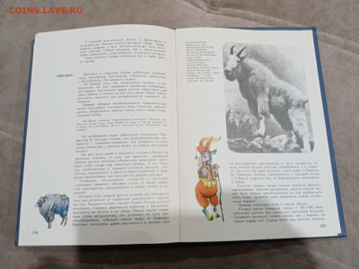 Мир животных до 26.02.26 в 22:00 по мск - IMG_20260221_015602