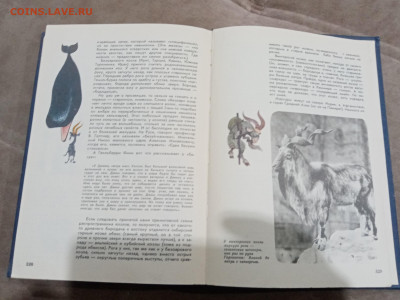 Мир животных до 26.02.26 в 22:00 по мск - IMG_20260221_015550