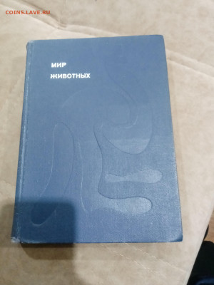 Мир животных до 26.02.26 в 22:00 по мск - IMG_20260221_015334